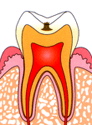 C1